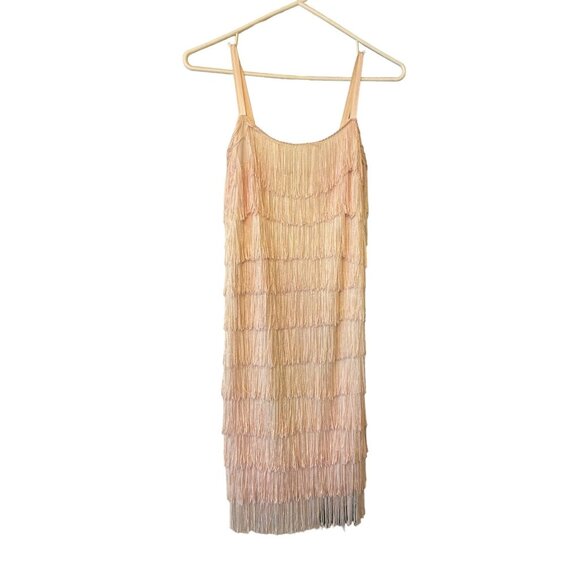 Lew Magram Collection Blush Fringed Flapper Dress Size Small Gatsby Twenties - Picture 5 of 5